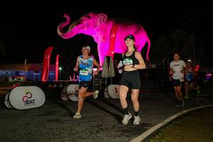 BIB: 
                            <button type="button" onclick="openModal(26534712)" class="btn btn-primary btn-sm float-right btn-popup" data-toggle="modal" data-target=".modal-high-quality">
                        <i class="fas fa-shopping-cart"></i> Add to Cart
                    </button>
                                            <button type="button" onclick="isThisMe(26534712, true)" class="btn btn-success btn-sm float-right btn-popup btn-isme hidden" data-toggle="tooltip" data-placement="bottom" title="นี่คือรูปของคุณใช่ไหม คลิกที่นี่เพื่อเอาเข้าอัลบั้ม">
                        <i class="fas fa-plus"></i> Add to album
                    </button>
                    <button type="button" onclick="isThisMe(26534712, false)" class="btn btn-warning btn-sm float-right btn-popup btn-isnotme hidden">
                        <i class="fas fa-ban"></i> Remove from album
                    </button>